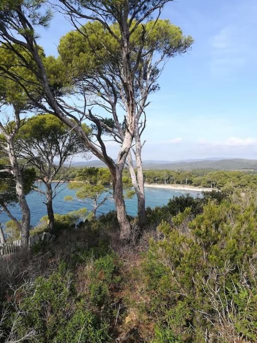 Les Jardins Du Luxembourg Apartment Hyeres Bagian luar foto
