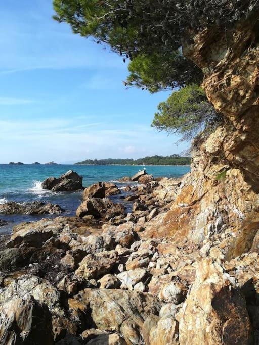 Les Jardins Du Luxembourg Apartment Hyeres Bagian luar foto